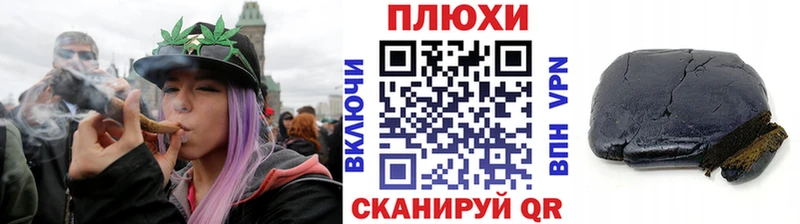 Купить  Почеп  ГАШ ice o lator 
