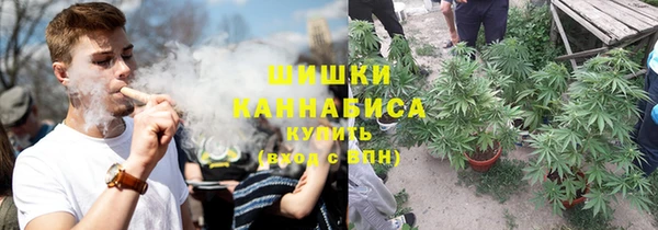крисы Дмитриев